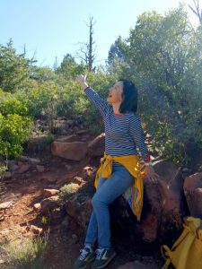 12/20  「私の木を育てましょう」クリスマスワークショップ  