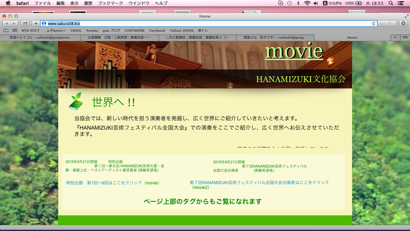 HANAMIZUKI芸術フェスティバルの動画サイトができました。