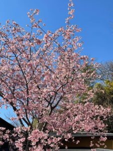 天風哲学を深く学ぶ【天風塾】に行ってきました  