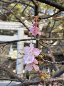 天風哲学を深く学ぶ【天風塾】に行ってきました  