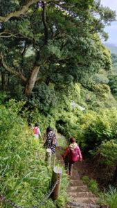 5月の北鎌倉りえずむ遠足を開催しました。  