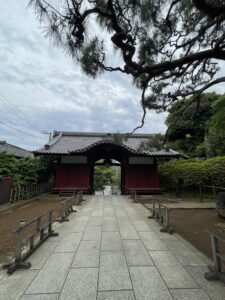 やってみたいことをやってみたら？  