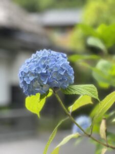 セミナーに参加して、改めて感じたこと。  