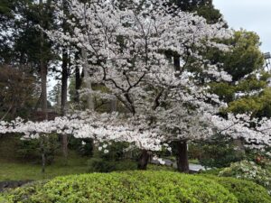 豪華な１日でした  