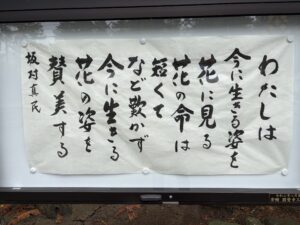 豪華な１日でした  